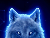 Wolf Wallpaper Iphone