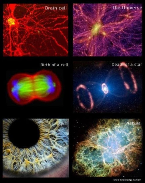Η αλληλεπίδραση του ανθρώπινου νου με την Γη και το Όλον. Brain-cell-the-universe-birth-of-a-cell-death-of-a-star-eye-nebula