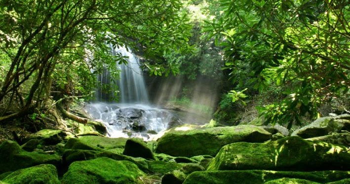 Pengertian Sumber Daya Alam Dan Klasifikasinya Terlengkap