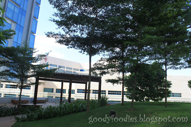 GoodyFoodies: Hotel Review: Oasia Hotel, Sinaran Drive, Singapore