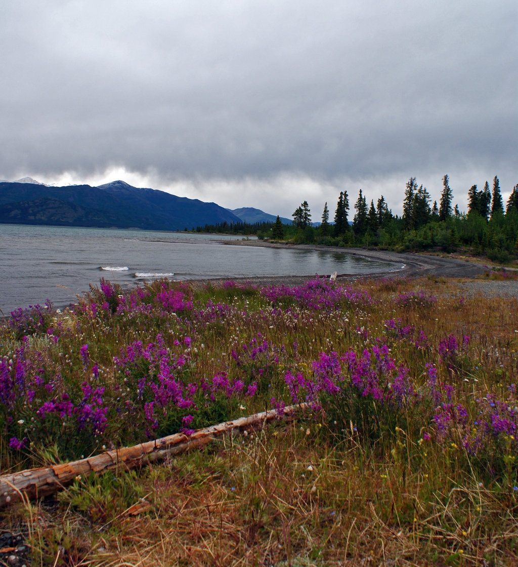 Driftless Home and Gardens Alaska Highway Rancheria, Yukon to Tok Alaska