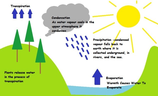 NATURAL SCIENCE 1st and 2nd GRADES: THE EARTH AND MATERIALS (2nd Year)