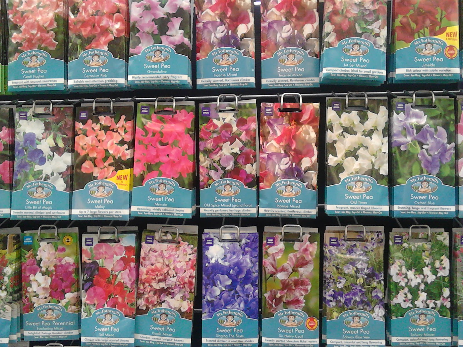 The Green Fingered Blog: How to choose which sweet peas to grow for ...