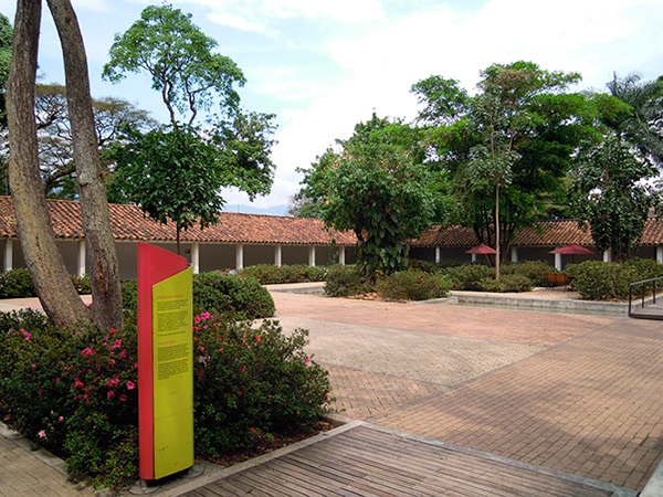 ¡Ya casi empieza la Fiesta! | Casa Tragaluz