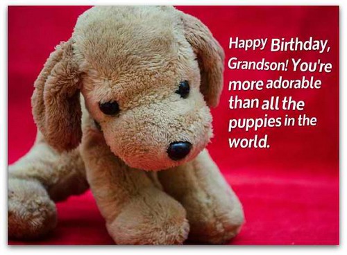 Happy Birthday Grandson