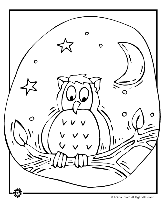 ohio wildlife coloring pages - photo #28