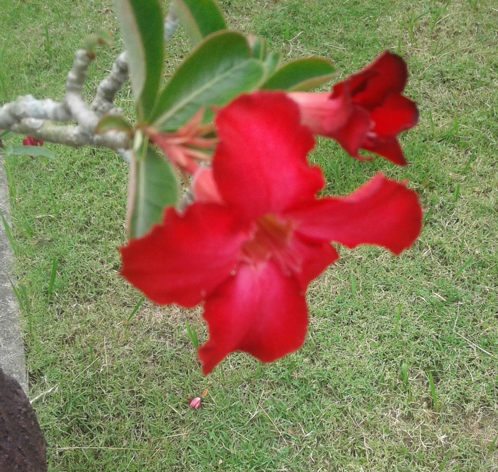 My Image 40