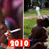 C’est ainsi que l’enfant qui fume 40 cigarettes par jour ressemble aujourd’hui