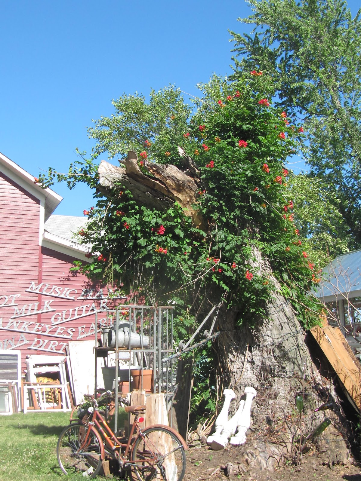 Summer Sundays Sisters in Kalona, Iowa.....