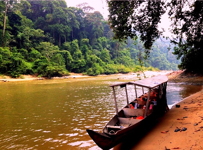 Taman Negara, Malaysia - The World's Oldest Tropical Rainforest