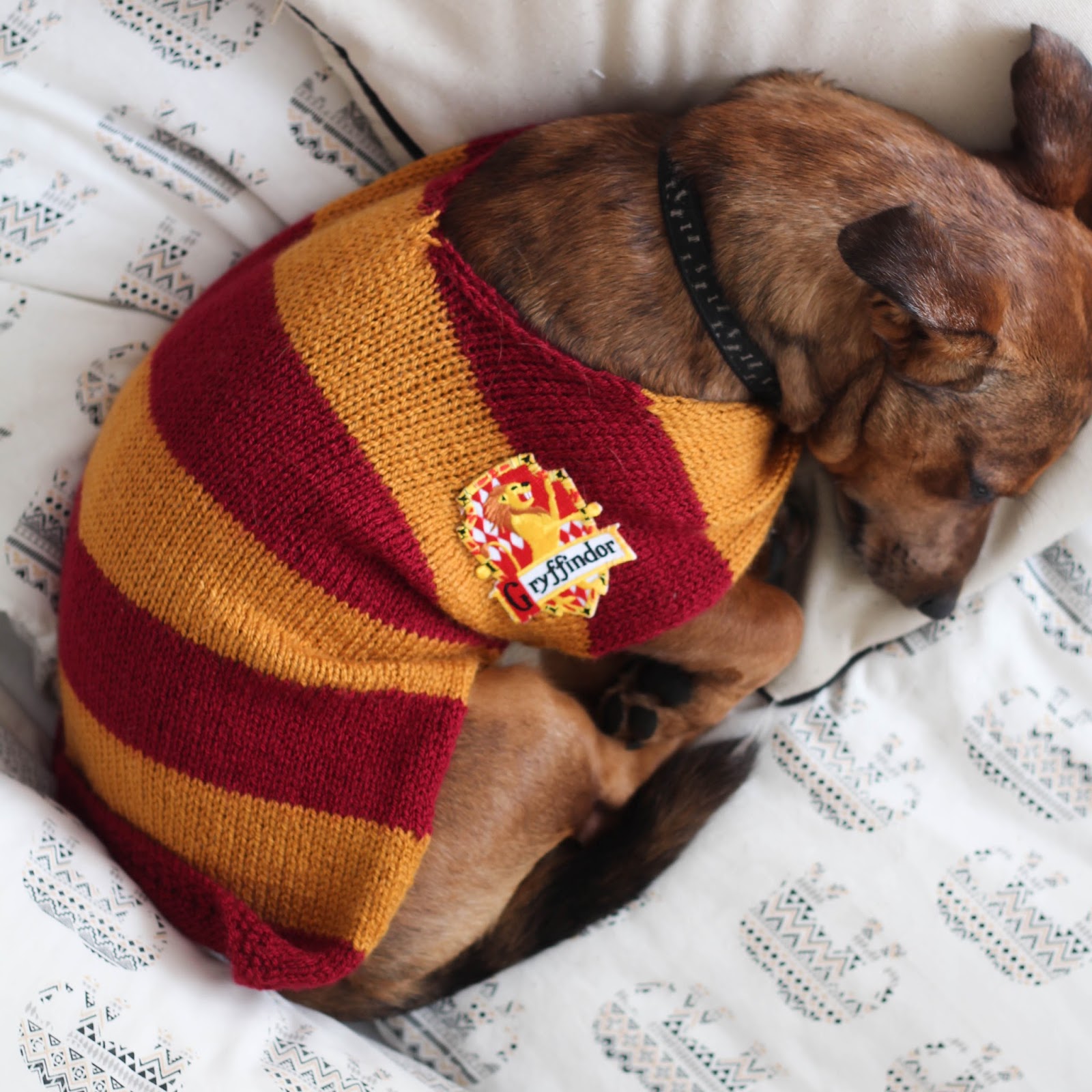 hogwarts dog sweater