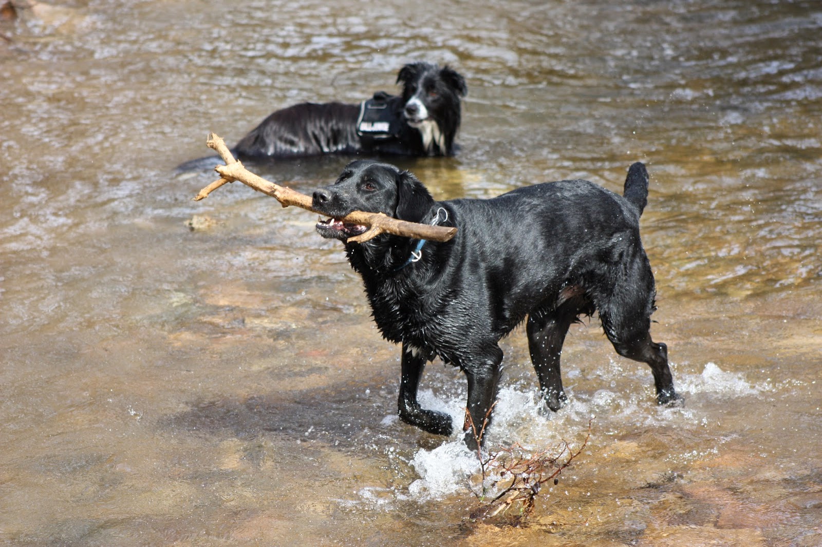 für Faulpelze? März 2015
