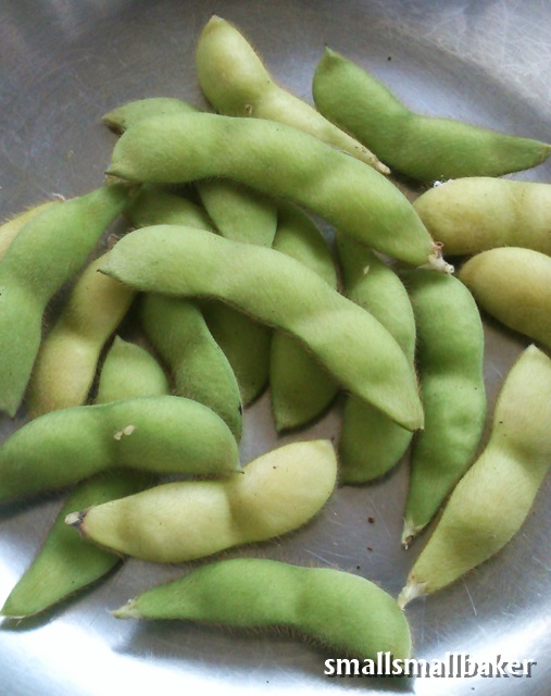 Small Small Baker Growing edamame （毛豆）