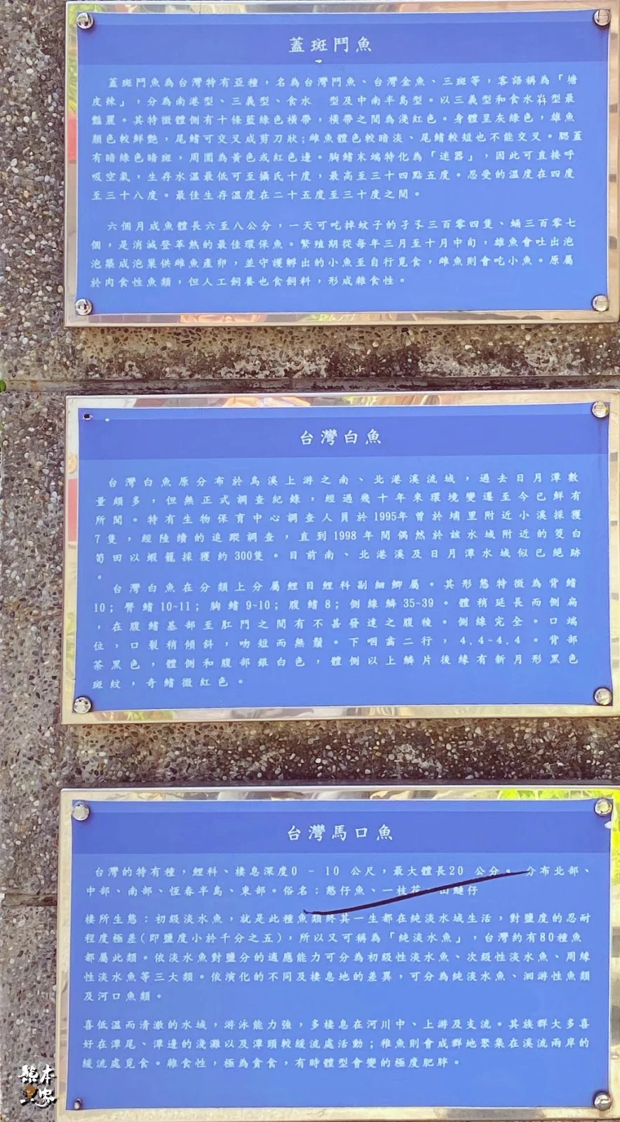台中傳統日式古蹟|石岡穀倉|台灣現存最完整的日式瑴倉