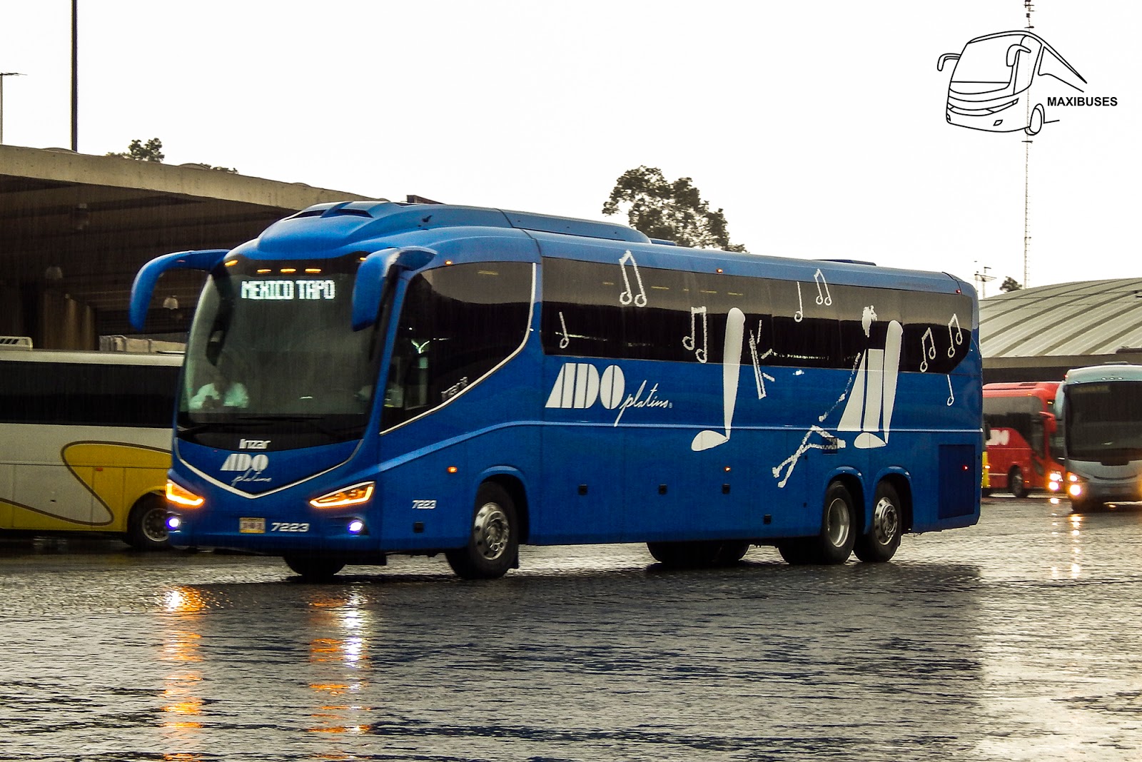 MAXIBUSES ADO PLATINO