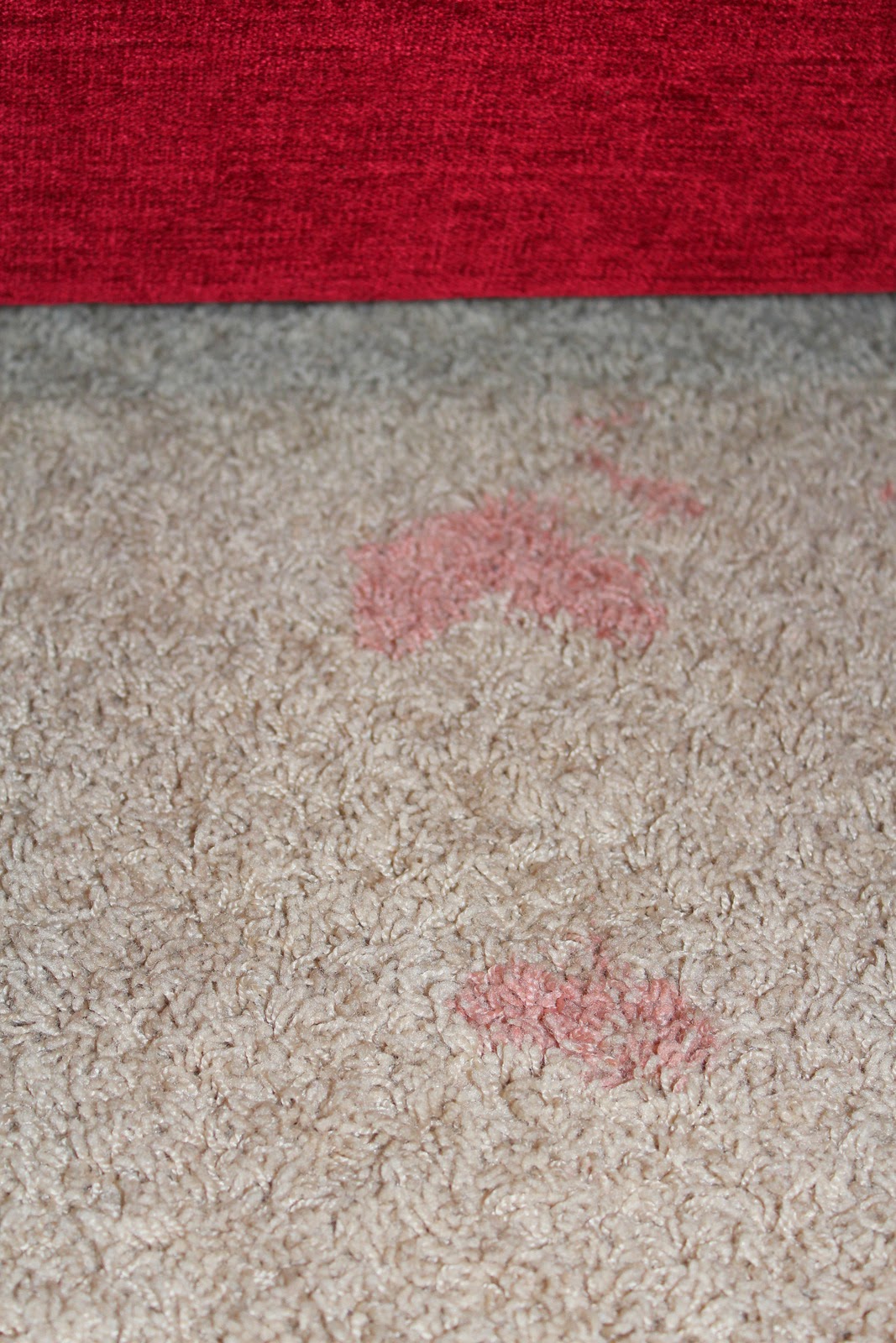 The Harris Sisters How to Remove Tough Carpet Stains