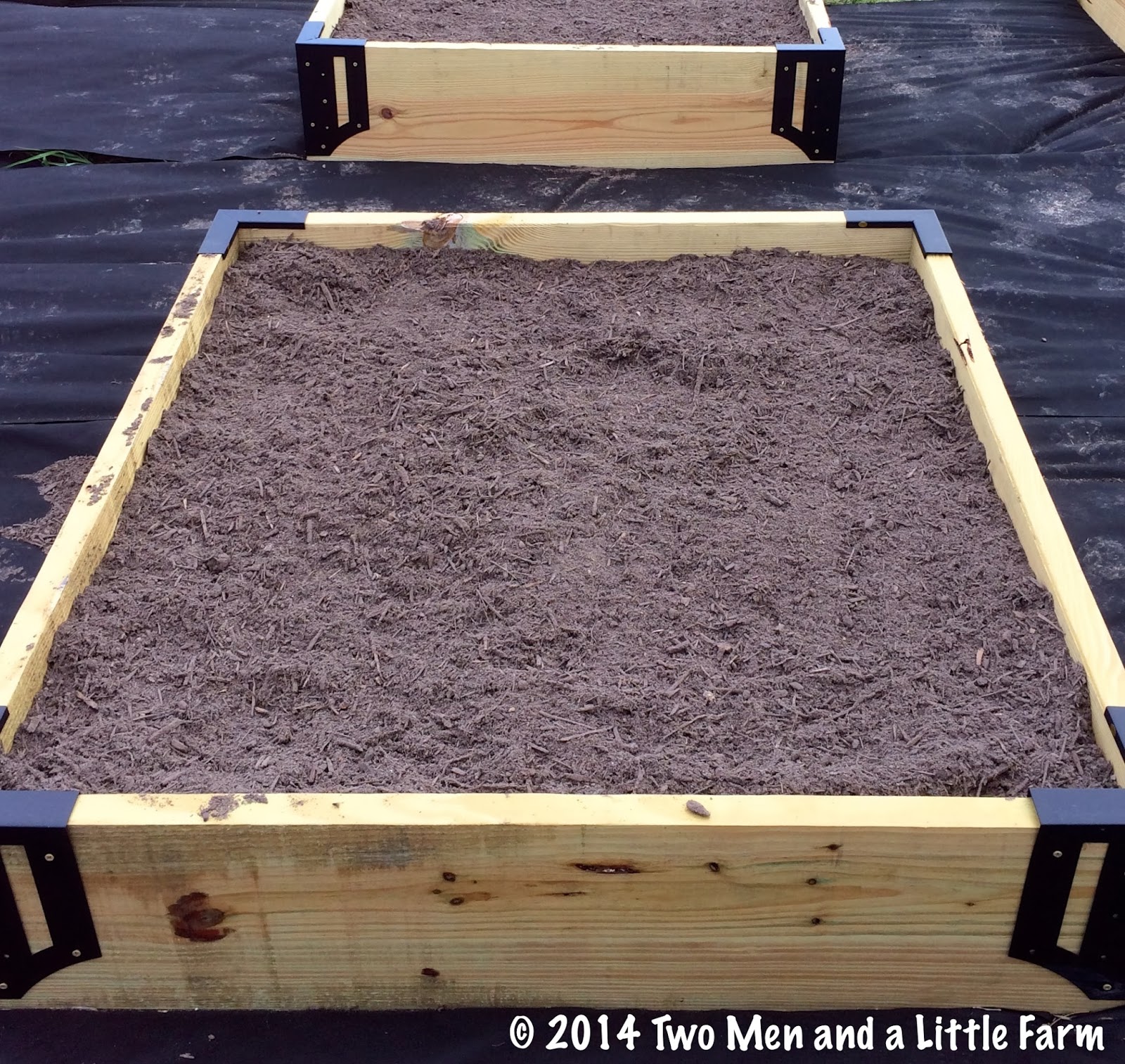 Two Men and a Little Farm UNUSED RAISED BEDS QUESTION