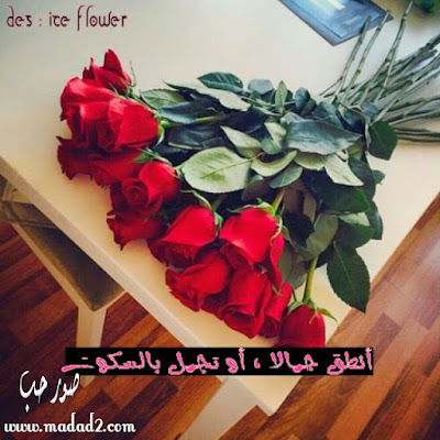 صور فايبر 2017 رمزيات فايبر مكتوب عليها مصراوى الشامل