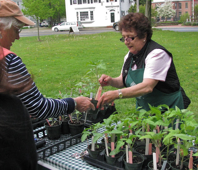 Ipswich Garden Club Annual Plant Sale