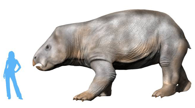 Miksi isn C14 käytetään dating dinosaurus luut