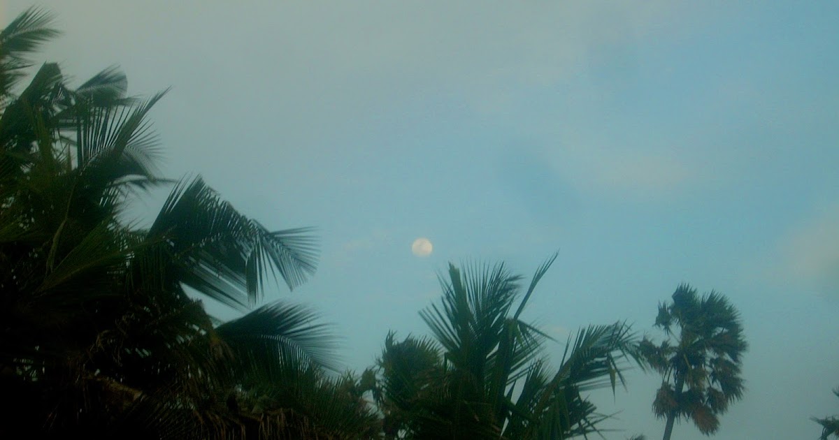 Photos: Mumbai sea, sealink and the sunset-2!!