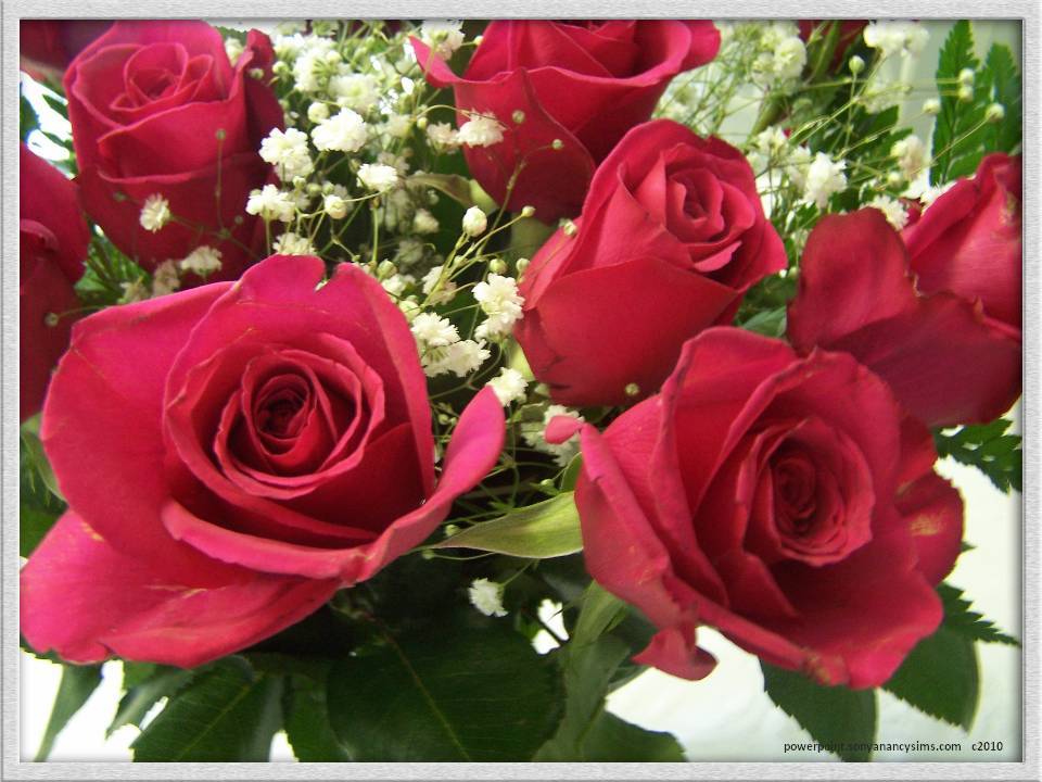 √ Valentine Rose Pictures 2014 Hd Wallpapers 1080 | Valentines Day Gift