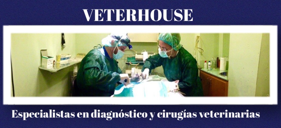 VETERHOUSE Clínica Veterinaria