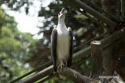 taman burung tmii jakarta