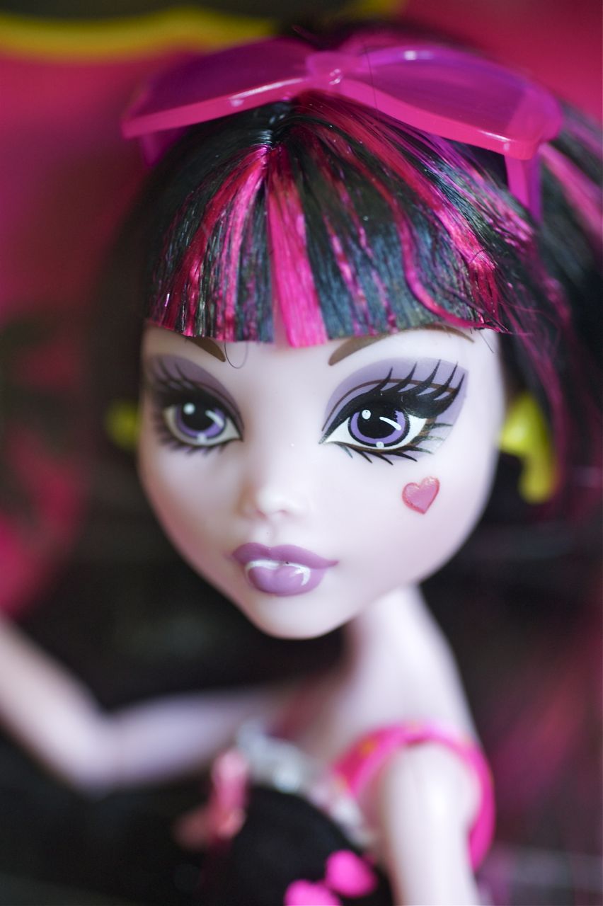 Дракулаура фото день Дракулаура фото день