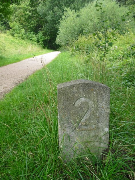 Die Schwabische Alb Und Ihre Natur 2010