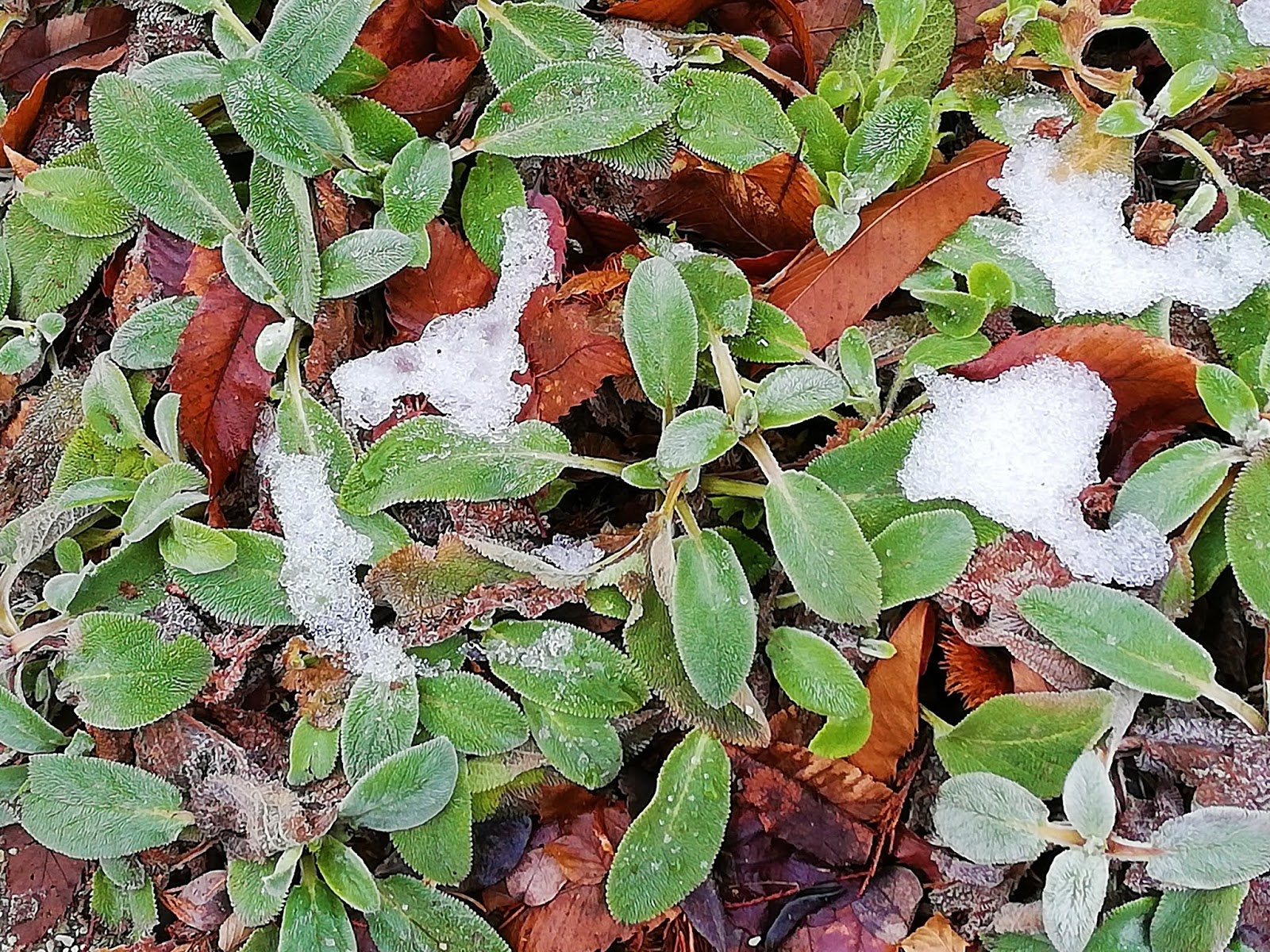 Wolfgang Schnitker Deko Fur Haus Und Garten