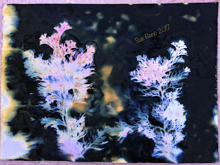 Wet Cyanotype_Sue Reno_Image 131