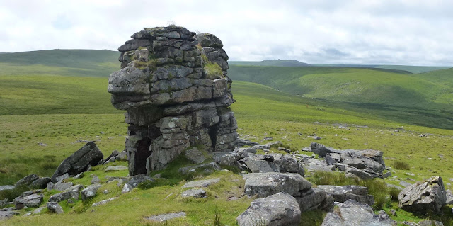 My Dartmoor Walks: Saturday 30th June Lints Tor