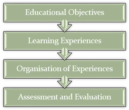 Ralph Tyler Model Of Curriculum Development