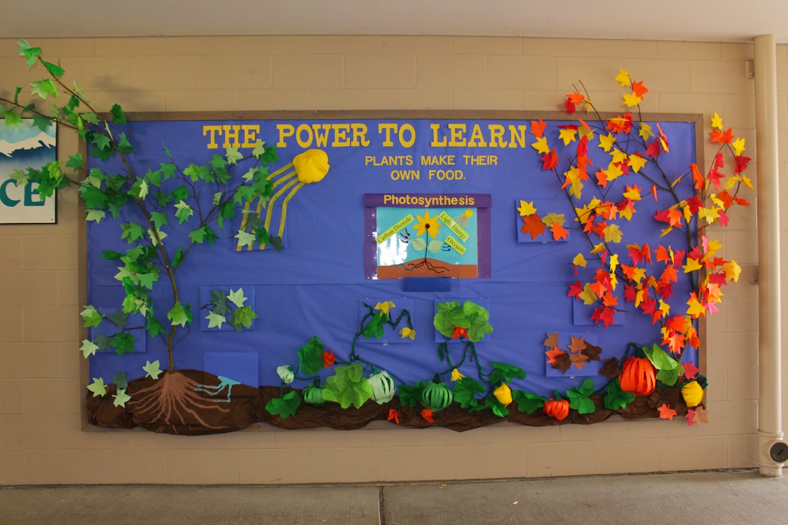 school-bulletin-boards-fall-bulletin-board-interactive