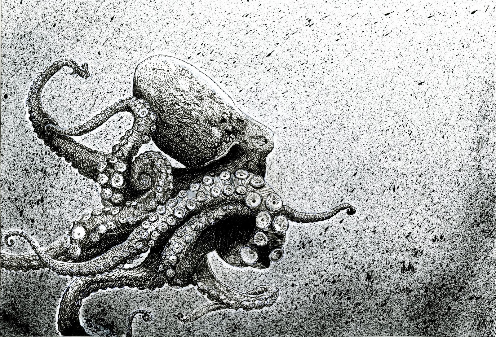 Ink Octopus.