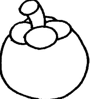 Mewarnai Buah Manggis yang Baik - blog mewarnai