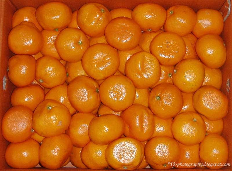 Kinnow Nature, Cultural, and Travel Photography Blog