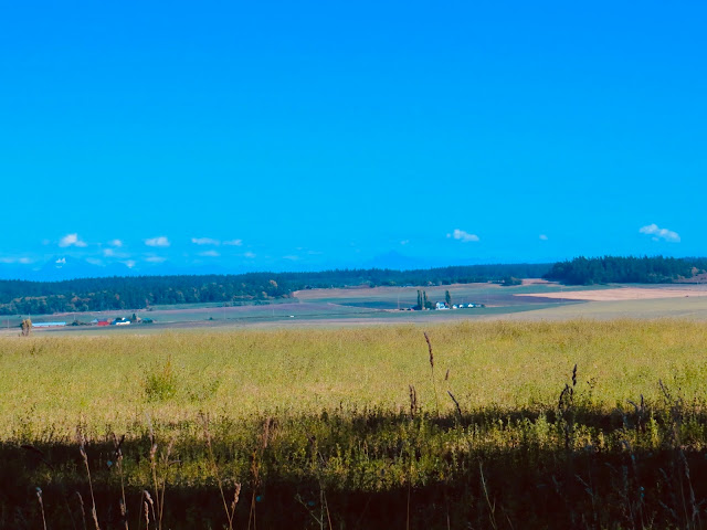 Pratt Loop Trail at Robert Y. Pratt Preserve, Coupeville, Whidbey Island
