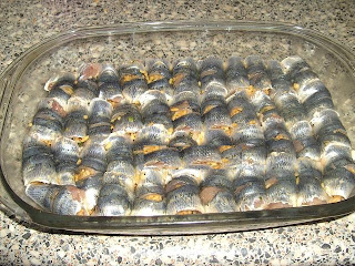 أشنو في الكاميلا.......