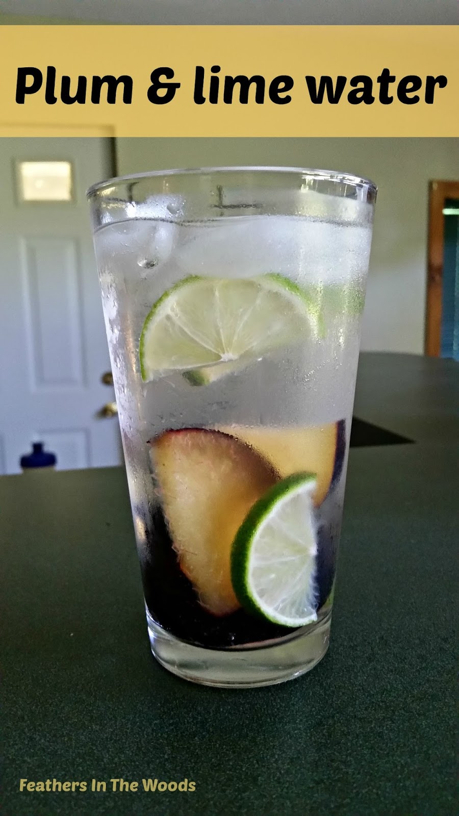 Making infused water with fruit and herbs! Feathers in the woods