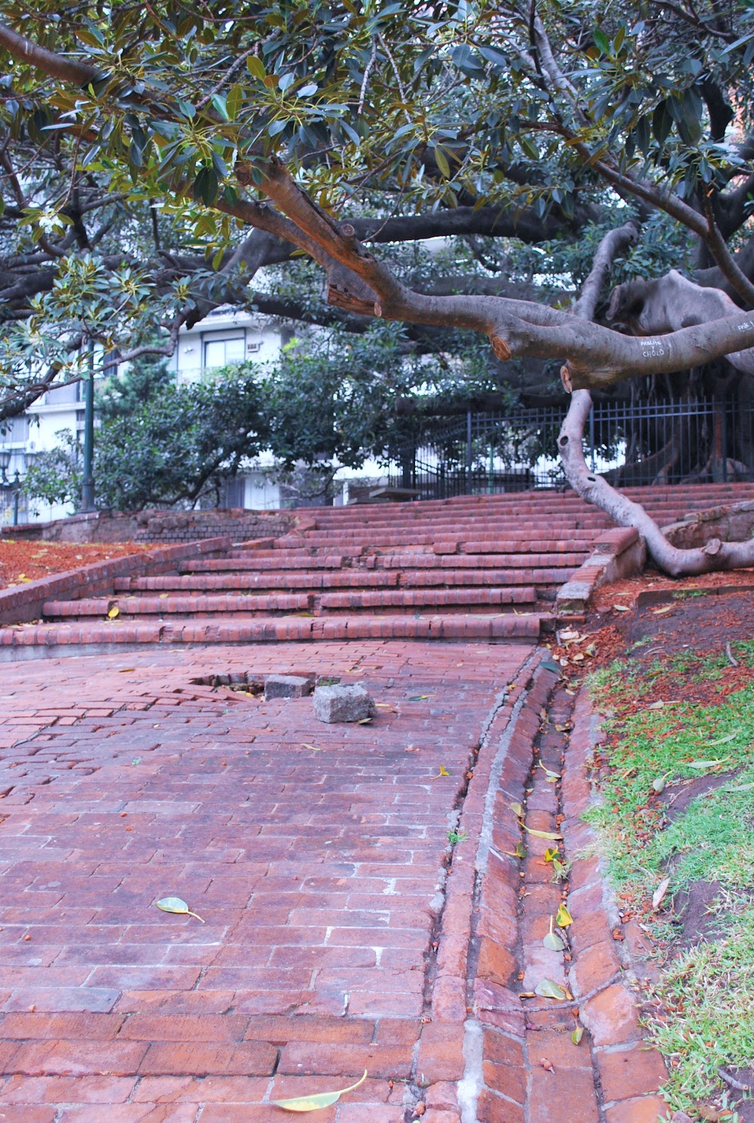 lamiradadeana Barrio de Belgrano