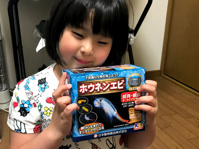 シマヘビの赤ちゃん エサを食べる まさねこ日記