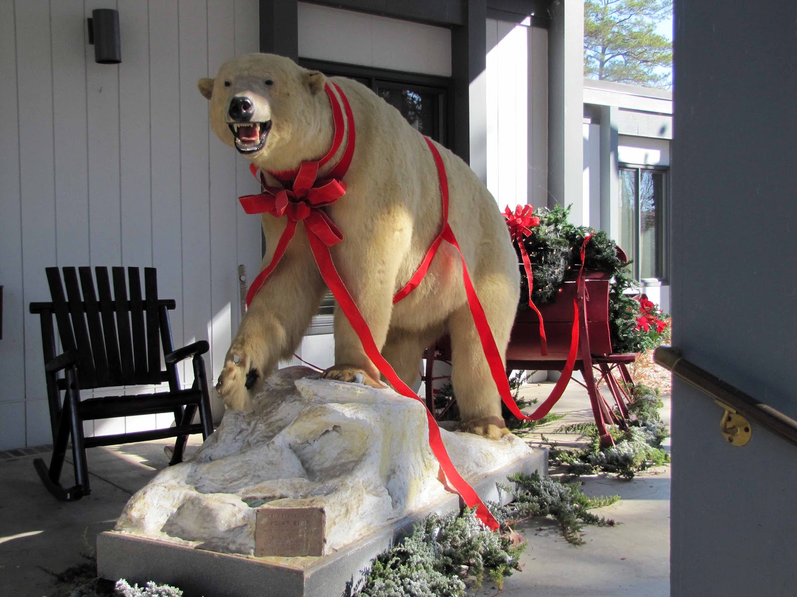 Living Life On Main Street POLAR BEAR PULLING A SLEIGH