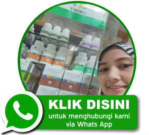 Klik WhatsApp Otomatis
