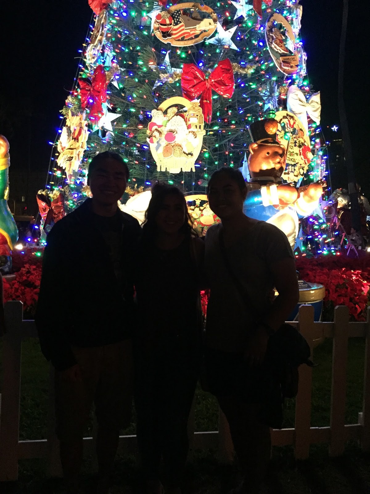 Honolulu City Lights Christmas