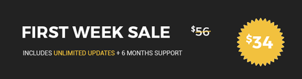 best shop theme auction