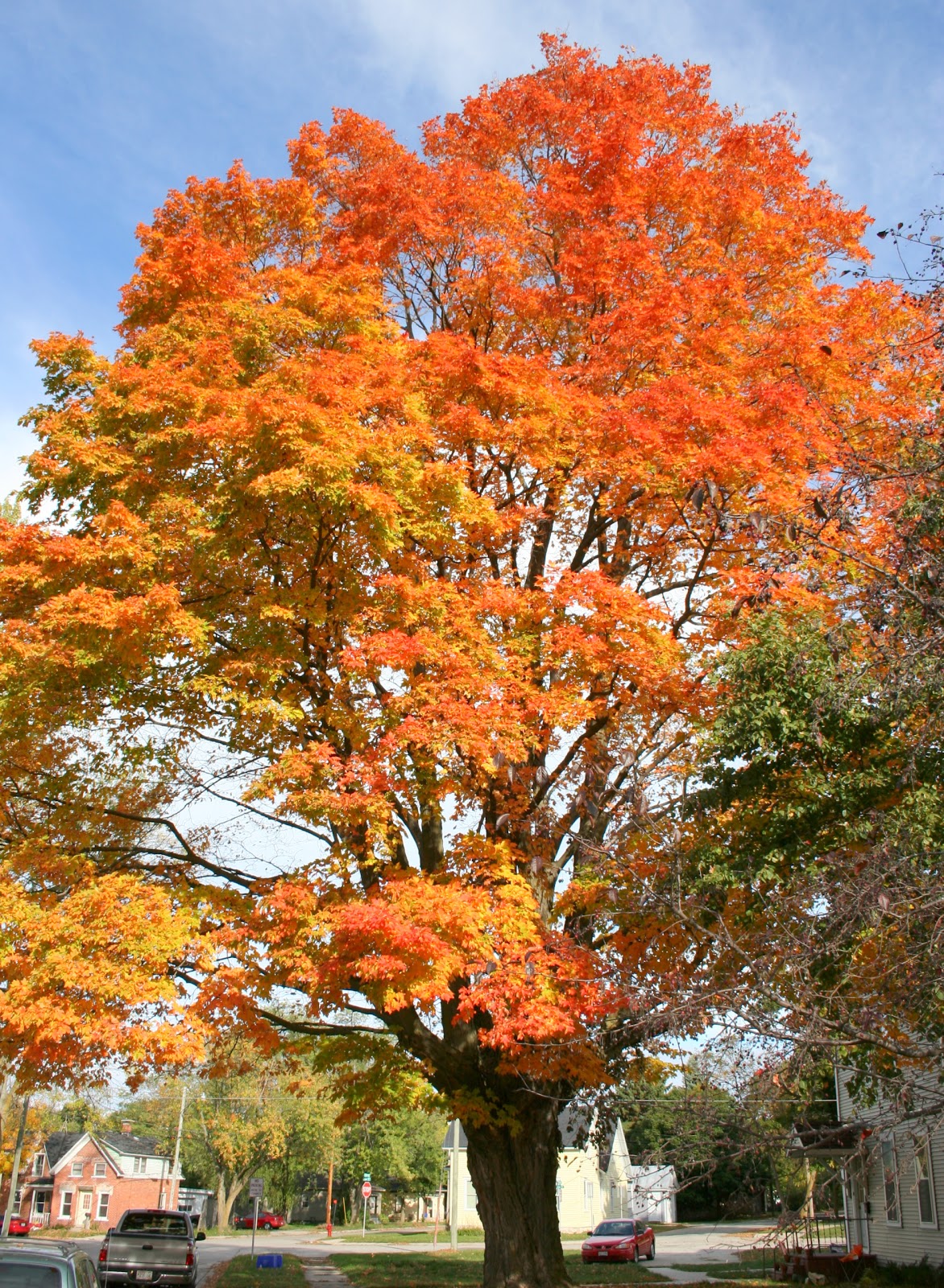 Exploracation An Open Window Door County, Wisconsin