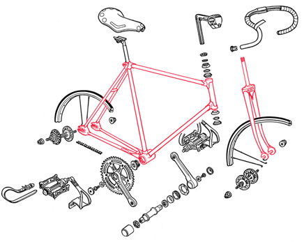 Como Empinar Uma Bicicleta: 5 Passos (com Imagens)