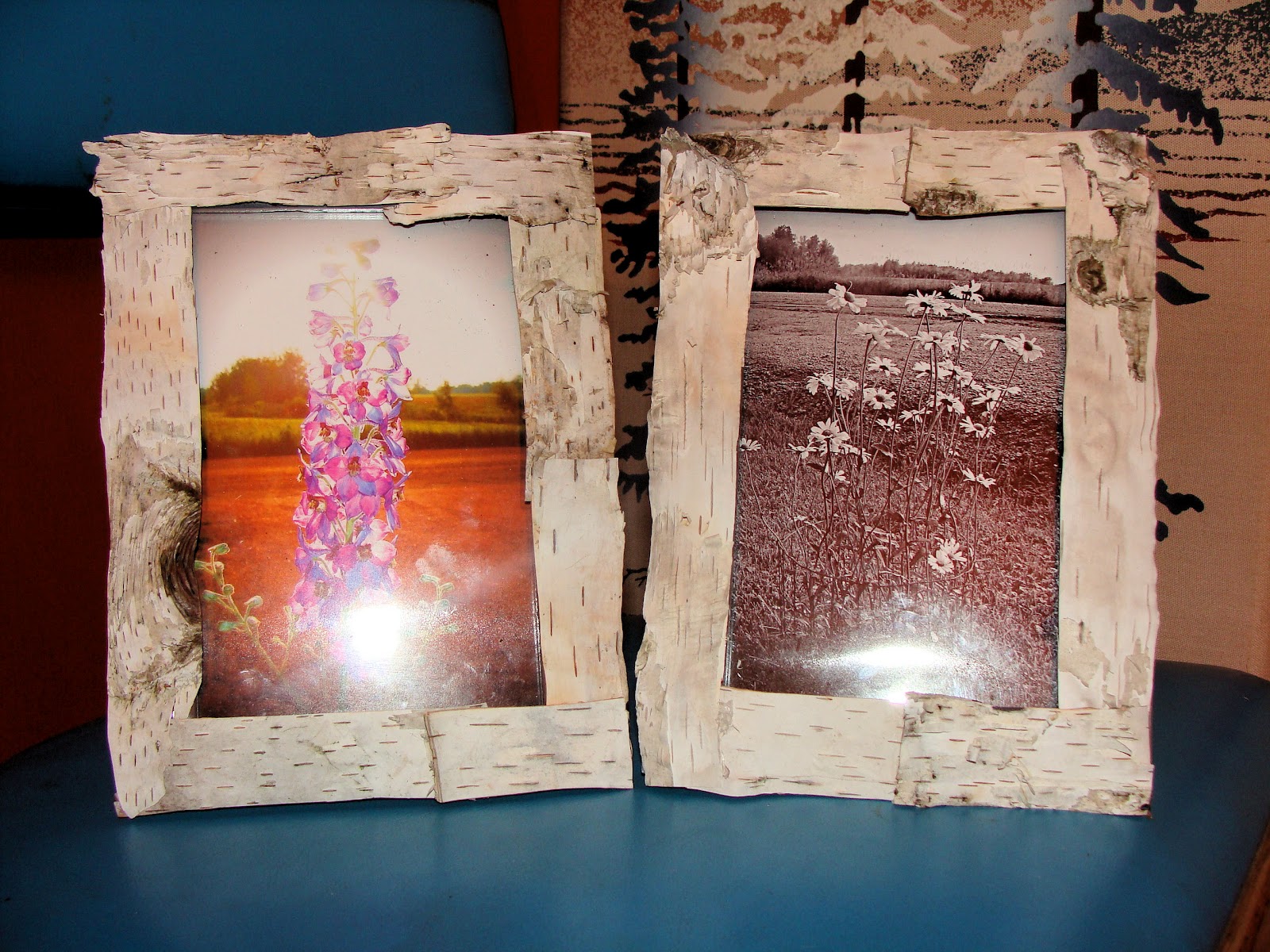 Dragonfly Swamp Birch Wood Crafts